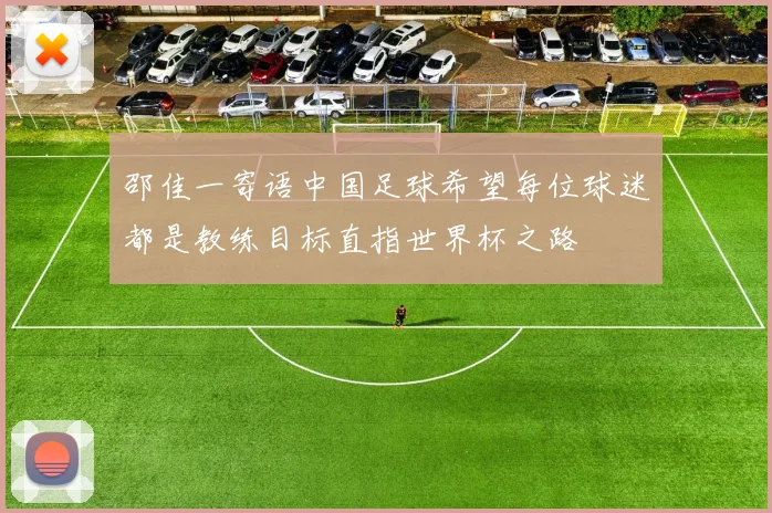 邵佳一寄语中国足球希望每位球迷都是教练目标直指世界杯之路