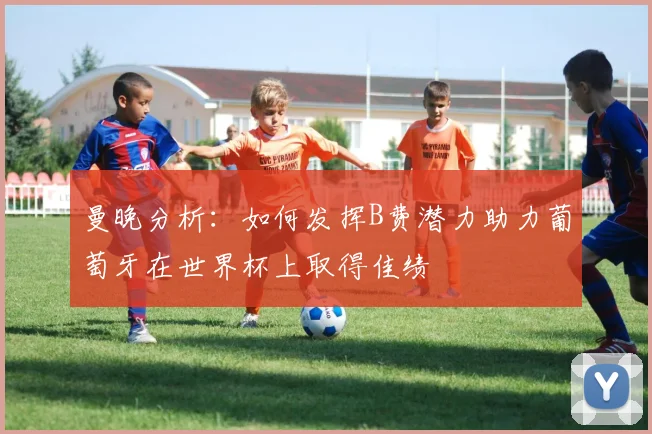 曼晚分析：如何发挥B费潜力助力葡萄牙在世界杯上取得佳绩